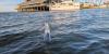 A Weather Balloon Became An Ocean Buoy—and Kept Sending Data