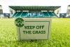 What channel is Hibs v Shkendija? TV and live stream details for Conference League clash