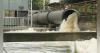 Missouri updates MS4 permit with new illegal dumping requirements