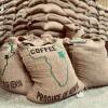 Nairobi Coffee Exchange auction nets Ksh 994M