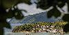 Philippines to Launch RE Auction for Off-Grid Islands