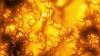 Scientists capture most detailed images yet of sun's surface
