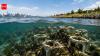 New York recycled almost 5,000 discarded toilets into artificial oyster reefs beneath Jamaica Bay instead of sending them to landfill; know why
