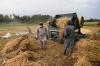 FAO seeks $38 million to protect Afghanistan’s 2027 wheat harvest