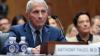 Senate panel votes to hold Fauci in contempt despite Democrats' attempts to delay