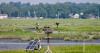 Low osprey numbers in other states concern local environmentalists