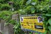 Summer festival organisers in Japan are on high alert for bears