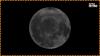 SpaceX Falcon 9 rocket crashes into Moon, scientists detect glowing plume in rare lunar impact