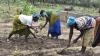 Why nature finance and gender data are central to achieving the world’s biodiversity goals
