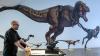 Why were there no tiny dinosaurs? You might blame the mammals