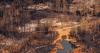 Climate change contributed to big Canada fires, study says as Trump blames mismanagement
