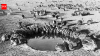 In 1986, Australia eradicated rabbits from an island stripped bare by 150 years of grazing