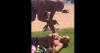 Video: Dem Candidate Knocked Out Cold After Picking Fight at Beach, Then Arrested for Allegedly Pulling Knife, Threatening Woman