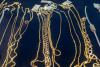 Dubai gold jumps Dh29 in six days, 10g tops Dh5,100