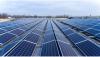 CIP gives go-ahead for Mexican solar giant
