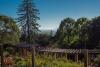Around Berkeley: Hike to Grizzly Peak, women in tattooing, learn Irish dancing