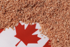 Our Asia Pacific Foundation of Canada Series: Canada’s Critical Minerals Advantage