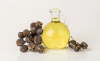 Researchers at KNUST identify Jatropha oil as high-performance engine lubricant 
