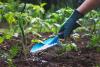 Southern Tanzania farmers requests TFRA’s education in identifying quality fertilisers