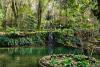 This 400-year-old Forest in Portugal Was Just Named One of the World’s Only Certified Healing Forests—and It’s Surrounded by 250 Tree Species