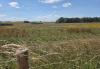 Developers invest in nature restoration site
