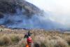 Fire burns 60 hectares in Indonesia’s Mount Bromo National Park