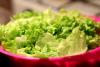 Cyclospora: Lancashire holidaymakers warned after rise in UK cases of diarrhoea causing parasite