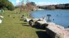 Portugal’s largest urban park under surveillance after 19 geese and ducks found dead
