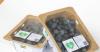 Can seaweed-based films replace plastic?