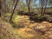 Walton Creek Mitigation Bank Approved in Bibb County, Alabama
