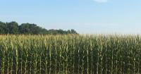 Meet five Ohio farmers surviving in a landscape of climbing costs