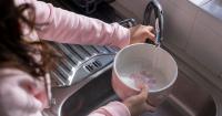 UK residents urged to leave out bowls of water in their garden