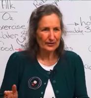 Egypt bans Australian alternative health figure Barbara O’Neill over false claims