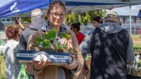 Victoria initiatives distribute seedlings to strengthen food security