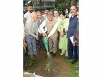 India News | Himachal CM Sukhu Launches Week-long Afforestation Drive; Urges Citizens to Plant, Protect Trees