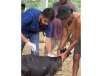 India News | CM Himanta Lauds Vantara Foundation for Wildlife Rescue Support Amid Assam Floods