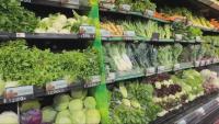 As Cyclospora numbers continue to rise, Massachusetts shows no evidence of large outbreak
