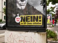 Voters rejected population cap initiative over foreign policy fears: survey