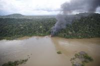 Five South American nations arrest hundreds and seize illicit assets in landmark Amazon rainforest crackdown