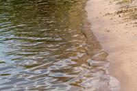 Where is a Beautiful Sandy Beach Near Northern Colorado?
