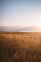 Montana Ranks Among Worst States For Children's Education