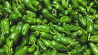 CDC links South Carolina and North Carolina illnesses to jalapeño salmonella outbreak