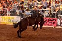 Lawton Rangers Rodeo Returns With Live Music And Nightly Events