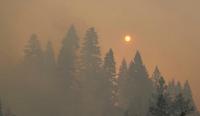 What Washington State Requires Employers To Do During Wildfire Smoke