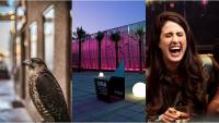 9 things to do in Abu Dhabi this weekend: August 7 to 9