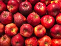 Tight Australian supplies keep apple prices up