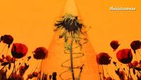 “Let Only Red Flowers Bloom”—And How Its Politics Took Root in Vietnam