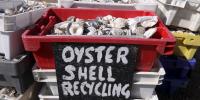 The Gulf of Mexico’s Reefs Have Suffered for Years. Local Communities Are Saving Them—by Recycling Oyster Shells