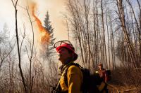 Falling trees and helicopter crashes: Alberta wildfire fighters create their own support system