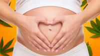 Analysis: Prenatal Cannabis Exposure Not Independently Associated With Elevated Risk of Child Depressive Disorders or Anxiety